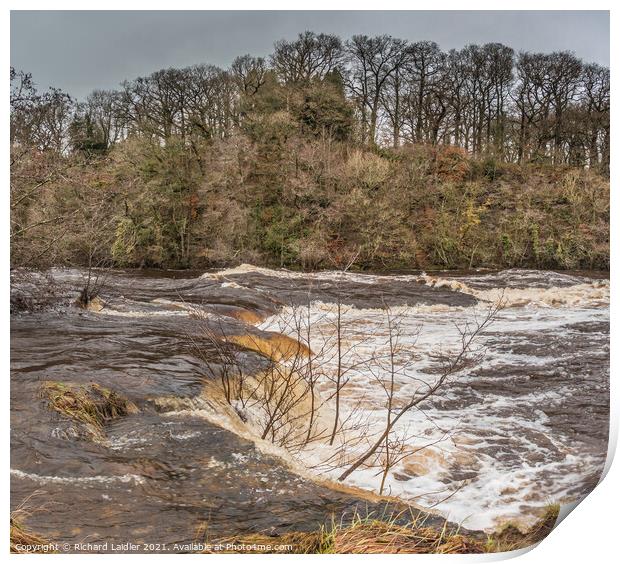 The River Tees in Full Flood at Whorlton (2) Print by Richard Laidler