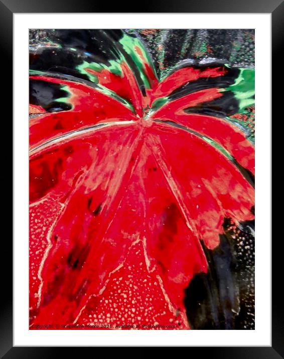 Abstract plant leaves Framed Mounted Print by Stephanie Moore
