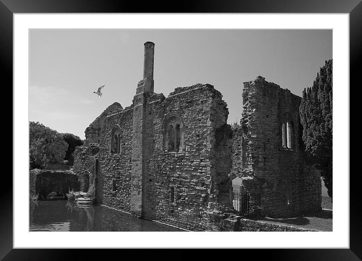 Christchurch ~Priory Grounds Framed Mounted Print by David French