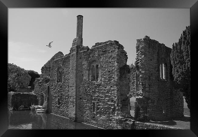 Christchurch ~Priory Grounds Framed Print by David French