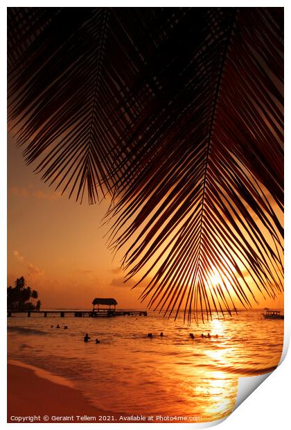 Sunset from Pigeon Point, Tobago, Caribbean Print by Geraint Tellem ARPS