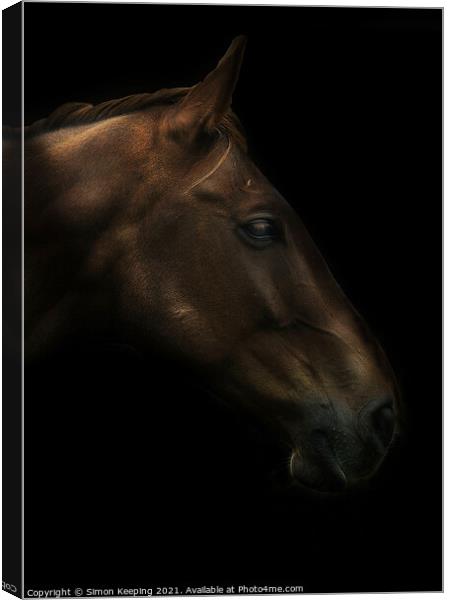 HORSE PROFILE Canvas Print by Simon Keeping