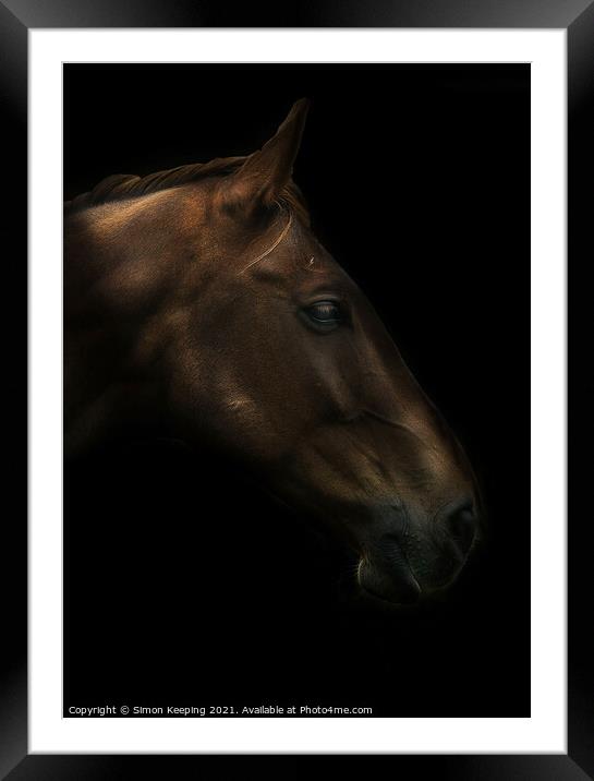 HORSE PROFILE Framed Mounted Print by Simon Keeping