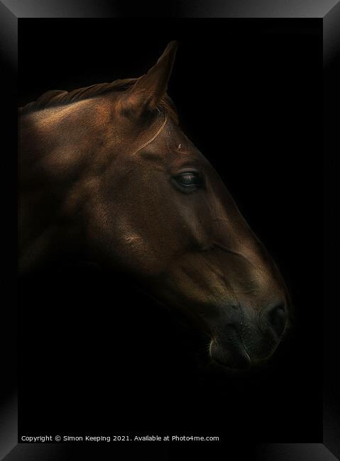 HORSE PROFILE Framed Print by Simon Keeping