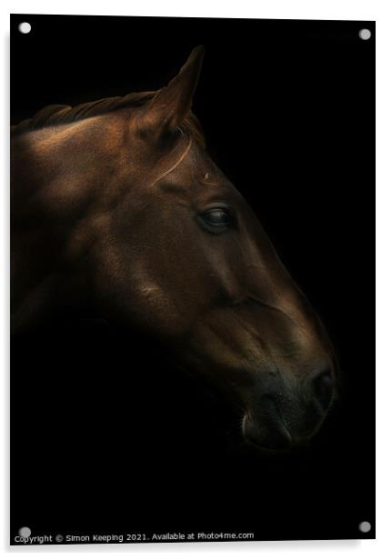 HORSE PROFILE Acrylic by Simon Keeping