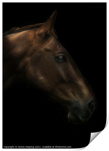 HORSE PROFILE Print by Simon Keeping