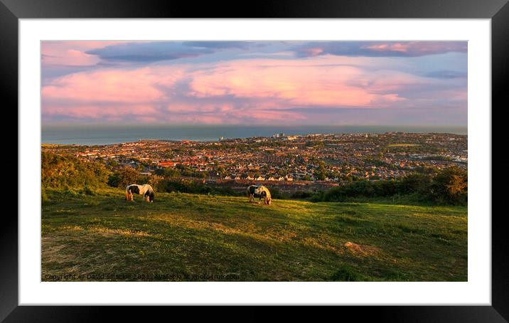 Horses Grazing On the Downs Framed Mounted Print by David Shackle