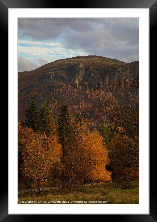 Autumn Colours Ullswater Framed Mounted Print by CHRIS BARNARD
