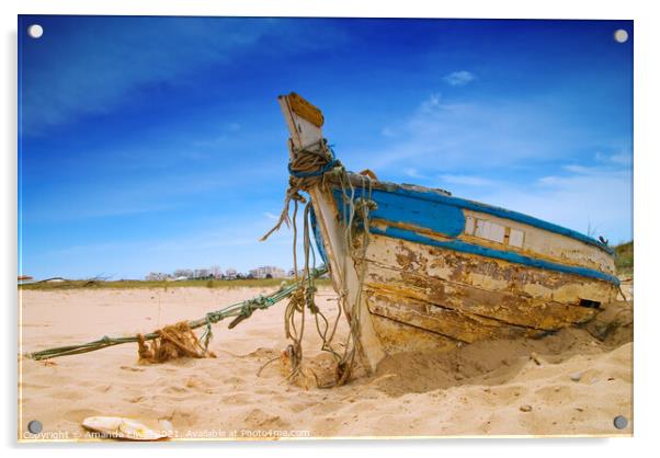 Dilapidated Boat Acrylic by Amanda Elwell