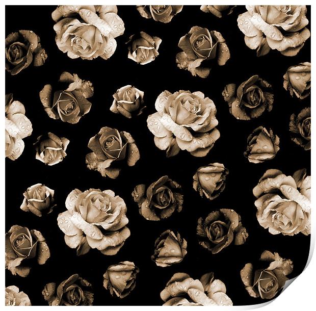 a shower of roses Print by Heather Newton