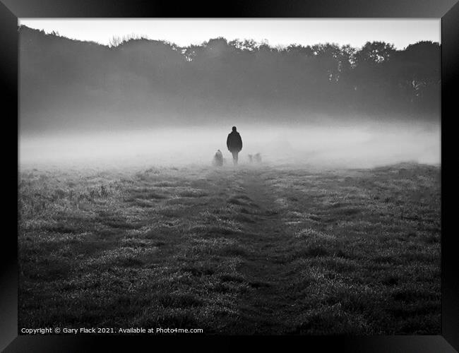 The Dog Walk on a misty morning Framed Print by That Foto