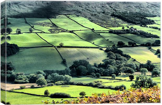 Landscape across the Yorkshire Dale Canvas Print by Robert Gipson
