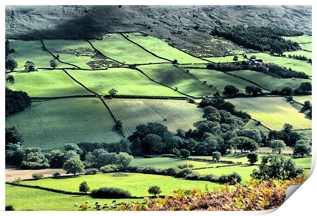 Landscape across the Yorkshire Dale Print by Robert Gipson