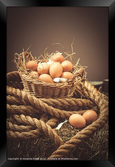 Close Up Of Fresh Eggs Framed Print by Amanda Elwell