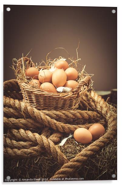 Close Up Of Fresh Eggs Acrylic by Amanda Elwell