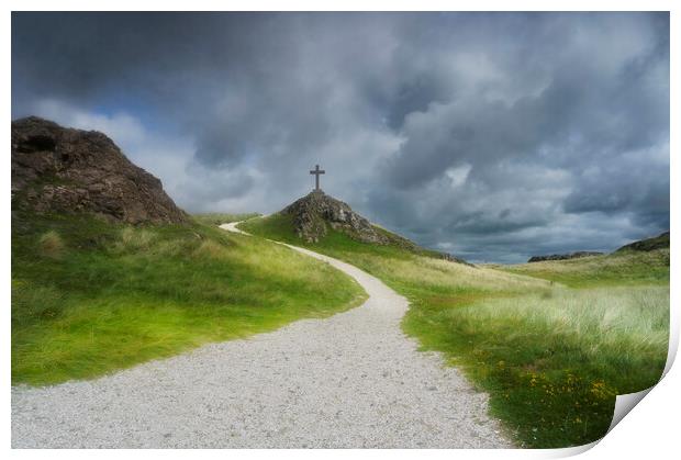 Llanddwyn Path  Print by Ray Tickle