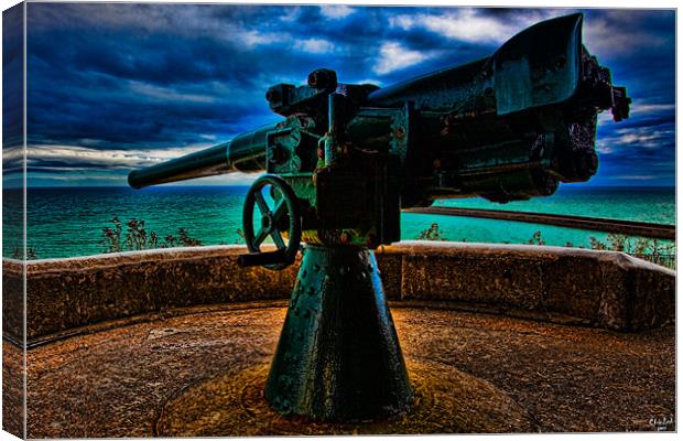 Southern Defenses Canvas Print by Chris Lord
