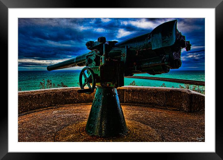 Southern Defenses Framed Mounted Print by Chris Lord