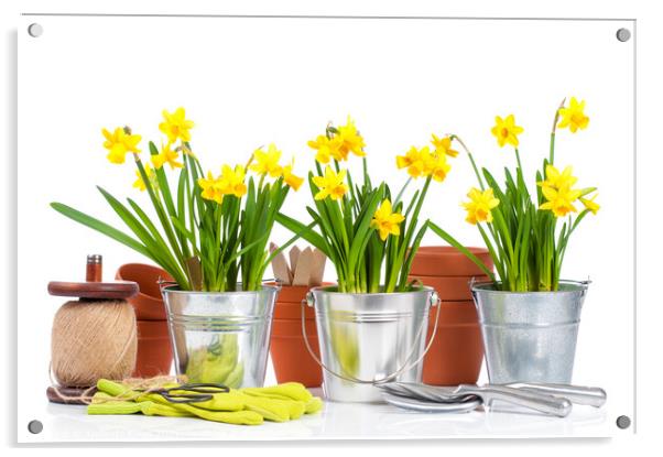 Spring Planting Acrylic by Amanda Elwell