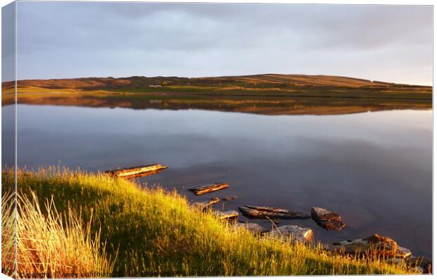 Loch of Yarrows Thrumster Caithness Canvas Print by Andy Lightbody