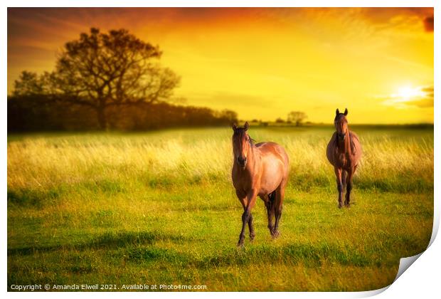 Horses At Sunset Print by Amanda Elwell