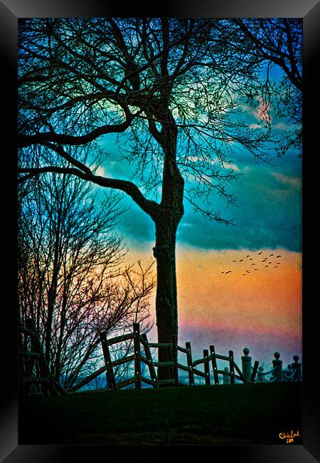 As Evening Falls Framed Print by Chris Lord