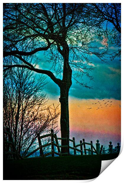 As Evening Falls Print by Chris Lord