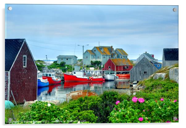 Peggys Cove Nova Scotia Canada Acrylic by Elaine Manley