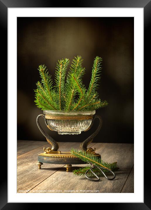 Sprigs Of Pine Tree Framed Mounted Print by Amanda Elwell