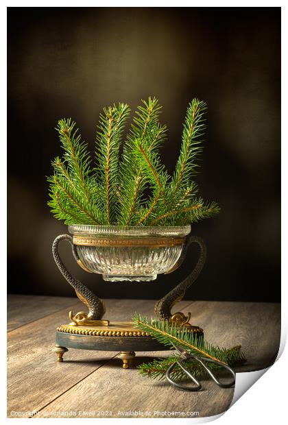 Sprigs Of Pine Tree Print by Amanda Elwell