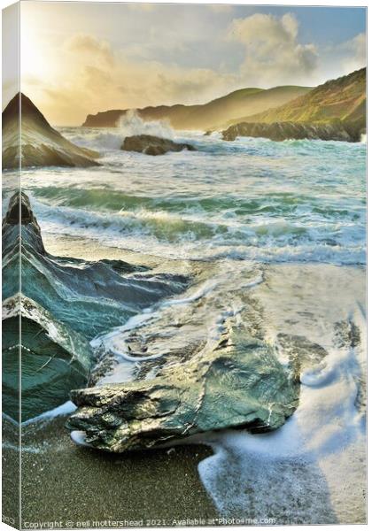The Sea Monster, Parson's Cove, Cornwall. Canvas Print by Neil Mottershead