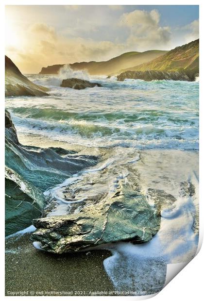 The Sea Monster, Parson's Cove, Cornwall. Print by Neil Mottershead