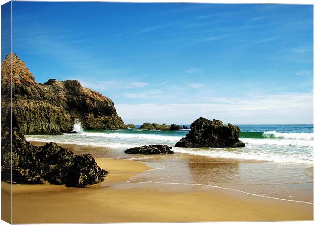 Lydstep Cavern Beach.Tenby. Canvas Print by paulette hurley