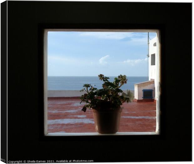 Looking Out of The Window in the Wall,  Canvas Print by Sheila Eames