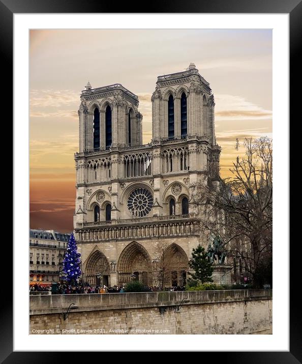 Notre Dame de Paris from the River Framed Mounted Print by Sheila Eames