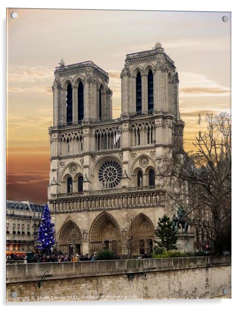 Notre Dame de Paris from the River Acrylic by Sheila Eames