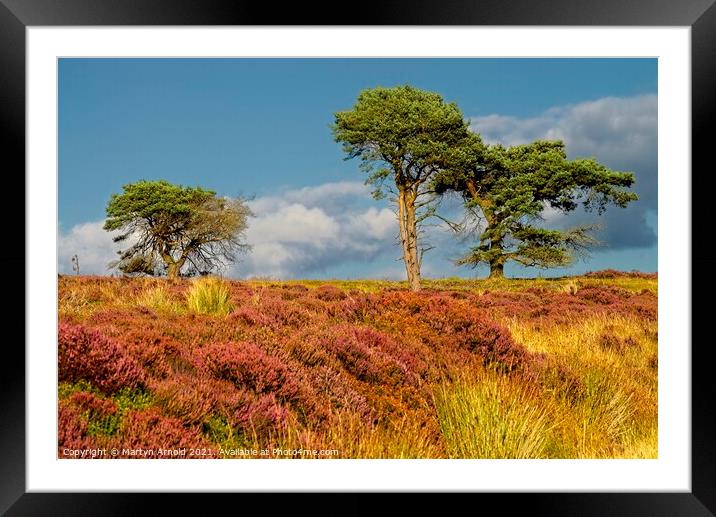 North York Moors Autumn Landscape Framed Mounted Print by Martyn Arnold