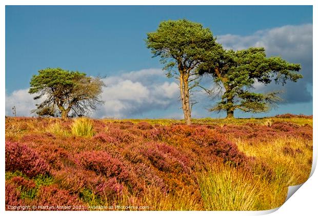 North York Moors Autumn Landscape Print by Martyn Arnold