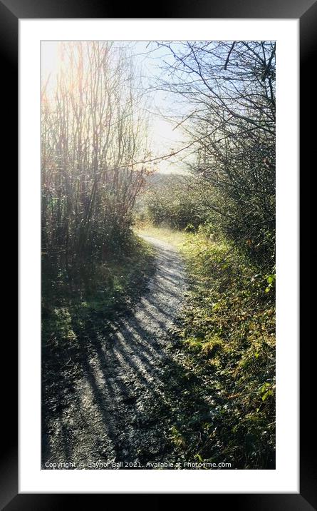 Woodland path at Parc Slip Nature Reserve Framed Mounted Print by Gaynor Ball