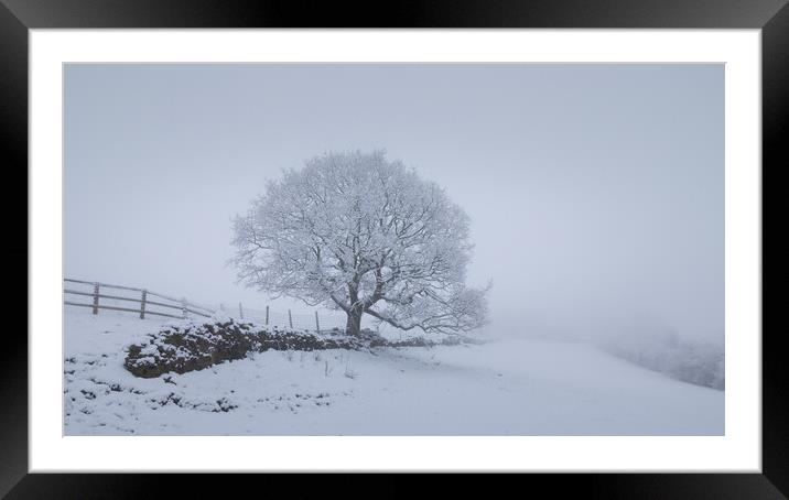 Snow Scene With Tree Framed Mounted Print by Phil Durkin DPAGB BPE4