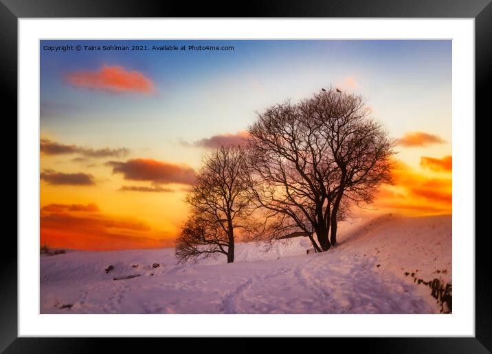 Sunset Glow in Winter Framed Mounted Print by Taina Sohlman