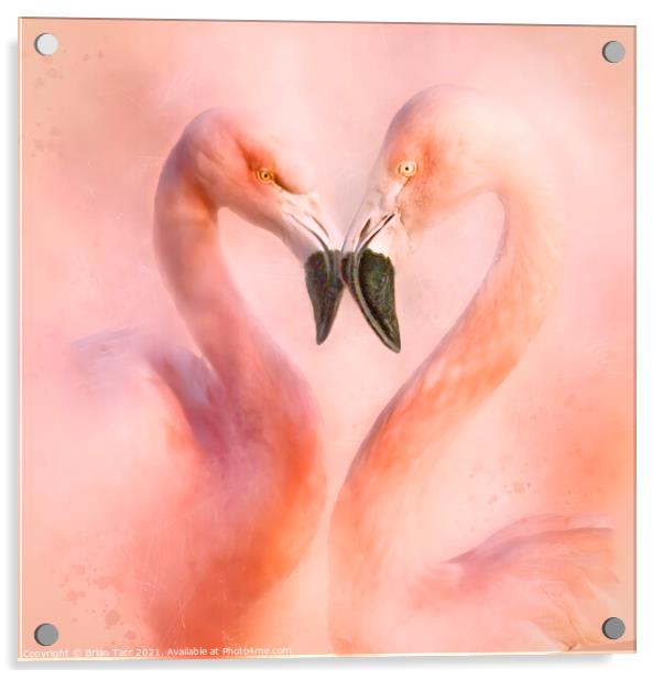 Love is a Flamingo heart Acrylic by Brian Tarr