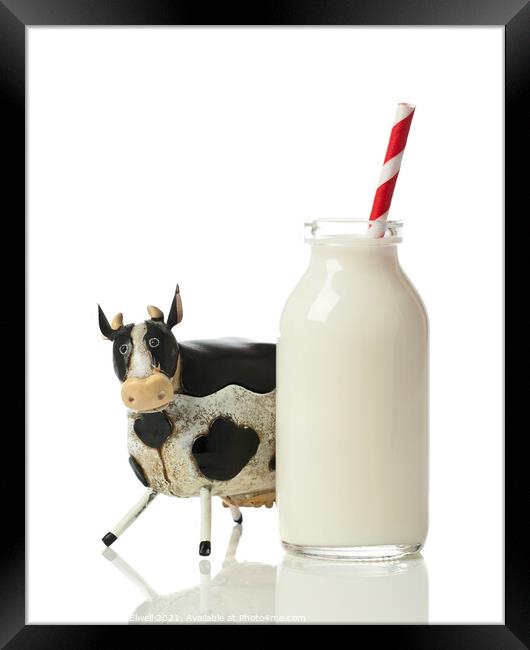 Fresh Milk Framed Print by Amanda Elwell