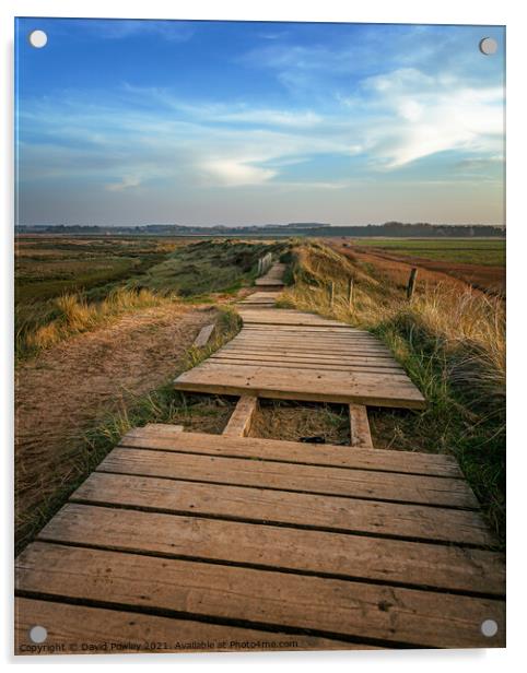 The North Norfolk Coastal Path at Thornham  Acrylic by David Powley