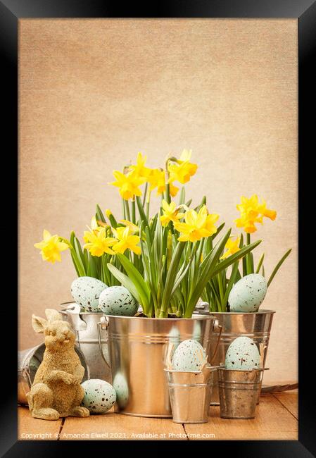 Easter Setting Framed Print by Amanda Elwell