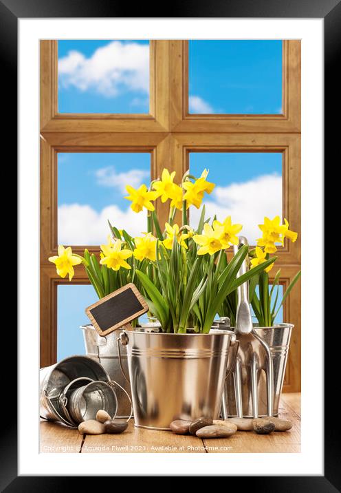 Spring Window Framed Mounted Print by Amanda Elwell