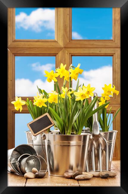 Spring Window Framed Print by Amanda Elwell