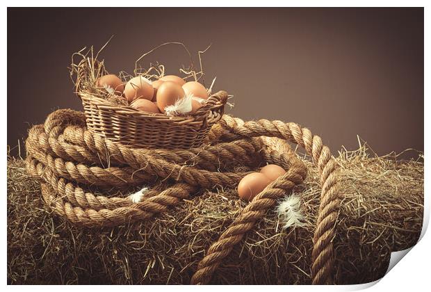 Hens Eggs Print by Amanda Elwell