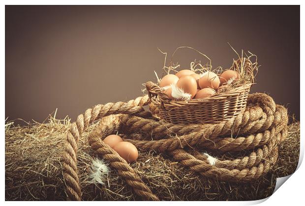 Fresh Eggs Print by Amanda Elwell
