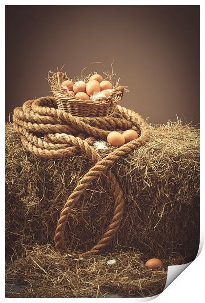 Fresh Eggs In Barn Print by Amanda Elwell